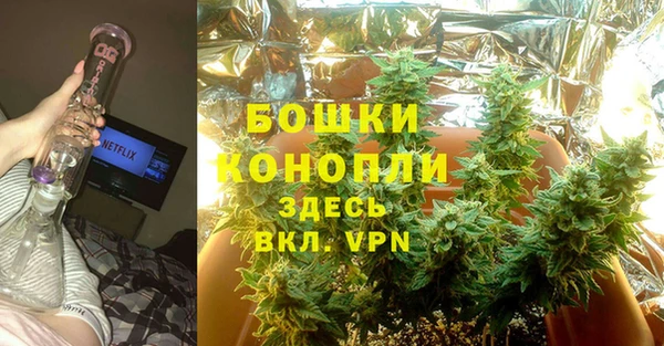 PSILOCYBIN Волосово